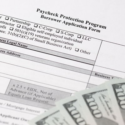 Paycheck Protection Program Borrower Application Form